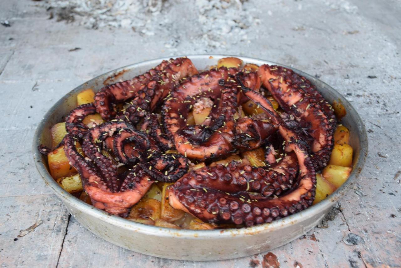 Babic * Zavala